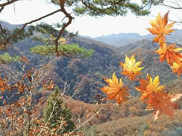 山西甘薯创新成果亮相全国甘薯产业博览会